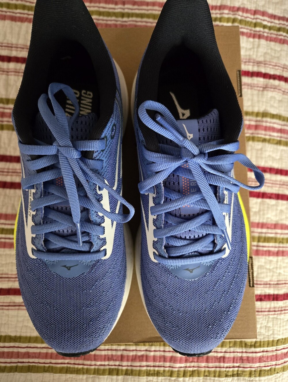 Mizuno Wave Rider 29 Blue Sz 8